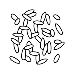 oryza grain food line icon vector illustration