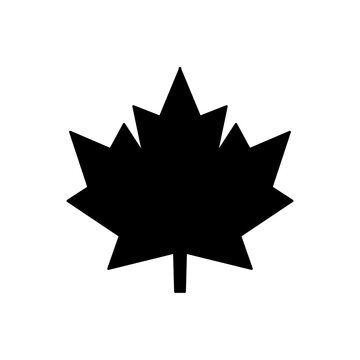 leaf icon. sign design vector illustration on white background