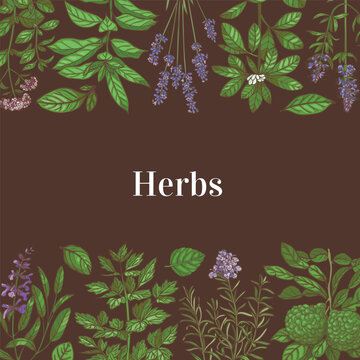 Hand-Drawn Color Square Template with Herbs