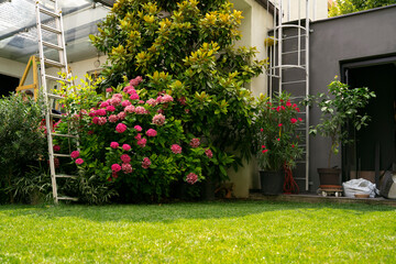 Fototapeta na wymiar Beautiful backyard, garden in spring or summer season 