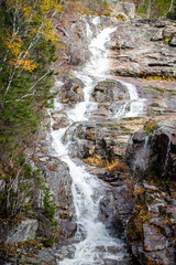 stream in the forest