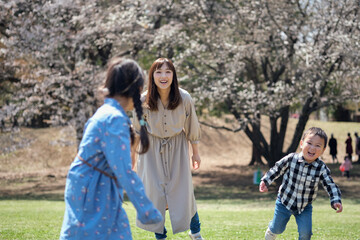 Fototapeta premium 春の公園で遊ぶファミリー