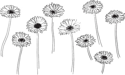 手書きのベクター植物イラスト。手描きのガーベラ線画イラスト。植物背景素材。Hand drawn vector plant illustration. Hand drawn gerbera line drawing illustration. Plant background material.