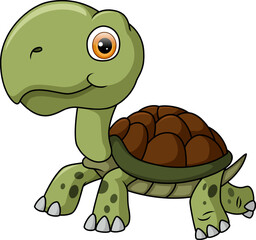 Cute turtle cartoon on white background