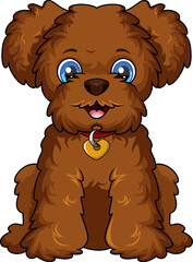Cute poodle dog cartoon on white background