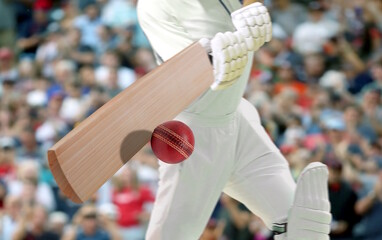 Cricket players batsman hitting ball in a stadium. - obrazy, fototapety, plakaty