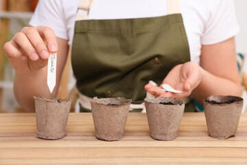 Woman inserting cards with names of vegetable seeds into peat pots at table, closeup - obrazy, fototapety, plakaty