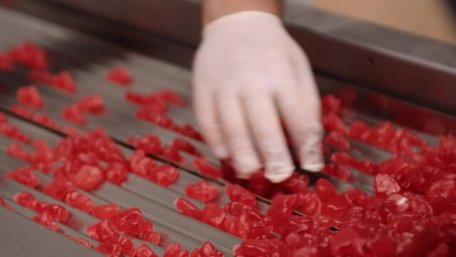 Gloved hand doing quality control check of red gummy vitamins in factory
