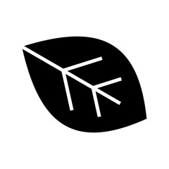 leaf icon or logo isolated sign symbol vector illustration - high quality black style vector icons
