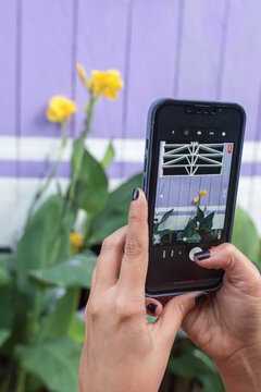 Smartphone Bild von gelber Lilie vor lila Hauswand