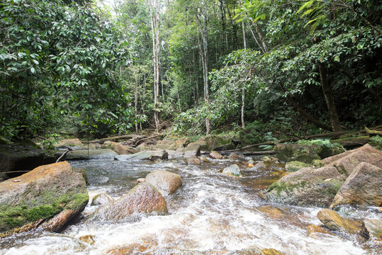 Fliessendes Wasser mit Felsen im Amazonas Regenwald