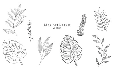 set of line art leaves vector