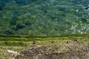 Stone steps overgrown with green algae descend into the clear water of the ocean, sea ​​wave texture, unusual water background