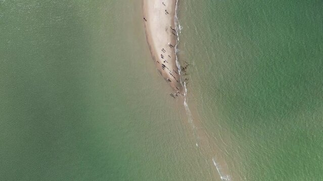 Aerial Top Down of Skagen Grenen Peninsula and Tourists, Skagen, Denmark