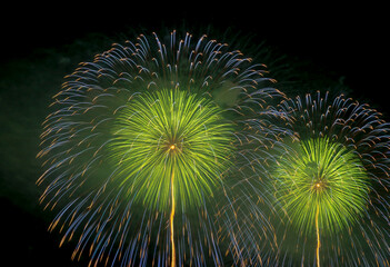 colorful fireworks closeups image. Japanese beautiful color design fireworks. Black backgrounds  