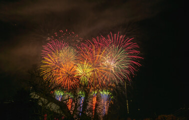 colorful fireworks closeups image. Japanese beautiful color design fireworks. Black backgrounds  