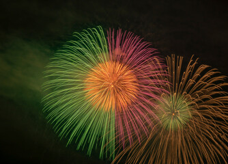 colorful fireworks closeups image. Japanese beautiful color design fireworks. Black backgrounds  