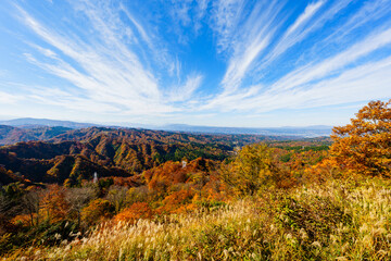 新潟県　魚沼スカイライン　紅葉