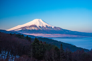 忍野村から富士山と雲海