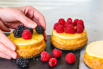 Decorating mini cheesecakes with fresh raspberries and blackberries. Close-up cooking process