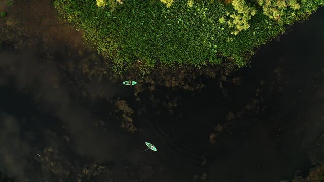 Aerial drone top down of 2 kayaking fisherman casting a line into clear water along lush green shoreline at sunrise