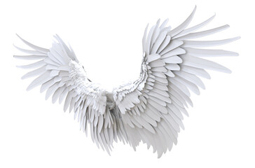 Realistic metal wings isolated. PNG transparency