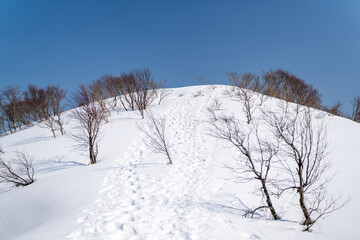 石川県金沢市にある医王山、白兀山を雪山登山している風景 Scenery of snow climbing Mt. Iozen and Mt. Shirahage in Kanazawa City, Ishikawa Prefecture, Japan. 
