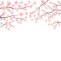 Stationery notepad illustration with white, red, pink, Japanese cherry blossoms in full bloom, brown cherry branches stretching from both sides