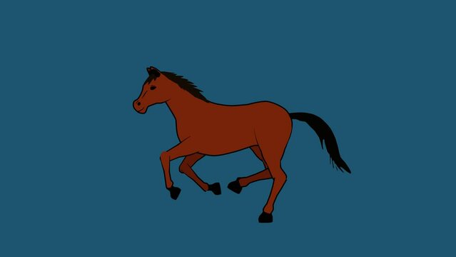 Running horse 2d animation cartoon