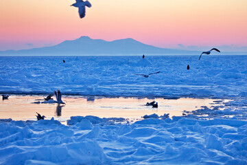 大鷲と流氷 © itoh masako