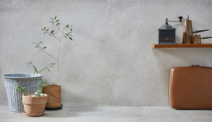 retro style, Basket, olive tree, earthen pot, stool and various objects on vintage gray concrete background