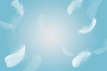 Abstract White Bird Feathers Flying in The Sky. Feathers Floating in Heavenly	