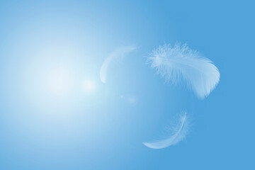 Abstract White Bird Feathers Flying in The Sky. Feathers Floating in Heavenly	