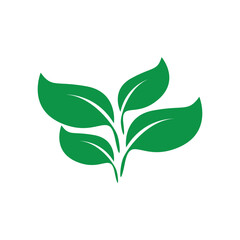 leaves icon