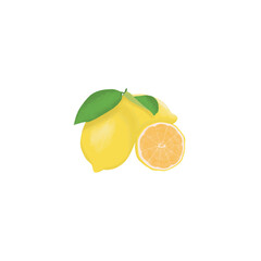 Illustration of a whole and sliced lemon with its green leaves