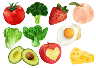 watercolor fresh vegetable set  illustration