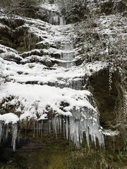 waterfall in the forest