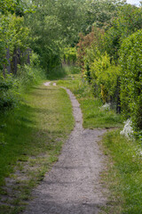 Fototapeta na wymiar Grassy woodland path walking route nature trail