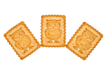 Three cookies with the image of an owl on a white background. Cookies depicting birds.