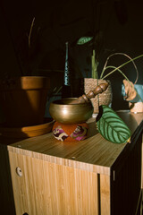 Tibetan singing bowl in the morning