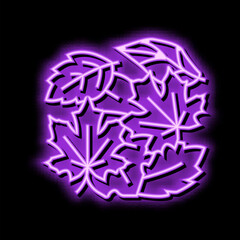 foliage autumn neon glow icon illustration