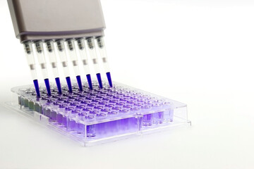 A laboratory Micropipette working on a 96-well plate. Concept of science and clinical medicine....