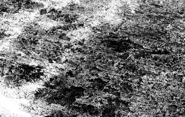 Black and white texture, natural surface effect, brush and decor, floral decor, wood and cement background