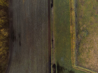 Dirt road between two fields
