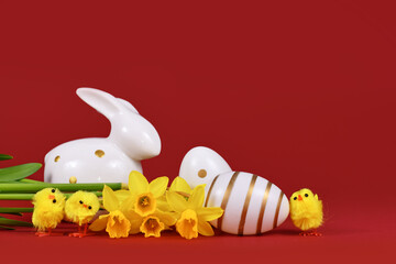Daffodil spring flowers, Easter chicks and eggs on red background with copy space