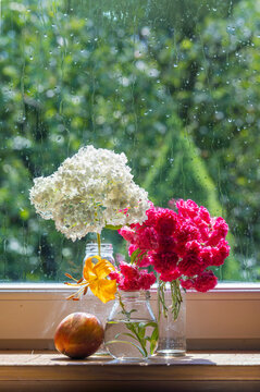 Smooth Hydrangea, Apple, Yellow Day Lily And Musk Rose (Dorothy Perkins) Flower On Old Window In House Summer Rain Relaxation