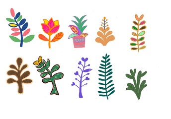 패턴 식물