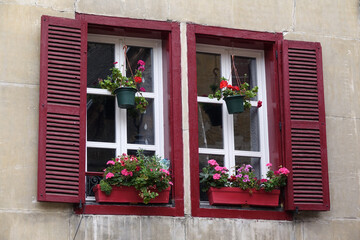 Fototapeta na wymiar Fenster in Troyes