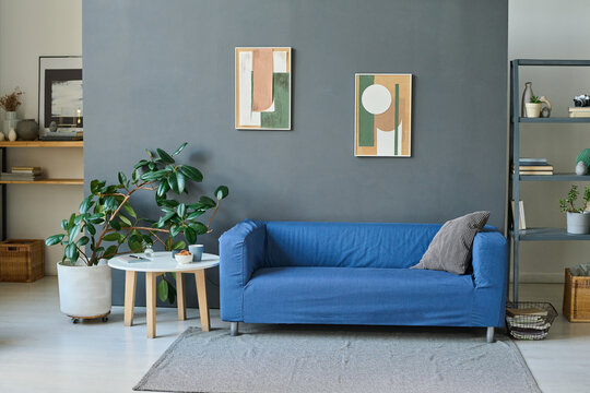 Horizontal image of modern apartment with comfortable sofa, green plants and designed pictures on the wall