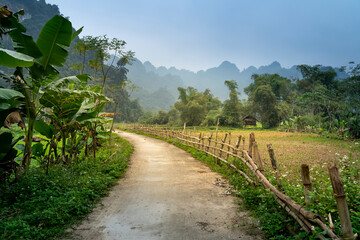 Fototapeta na wymiar peaceful landscape of rice fields and road to village at harvest time in Thuong Lam commune, Tuyen Quang province, Vietnam